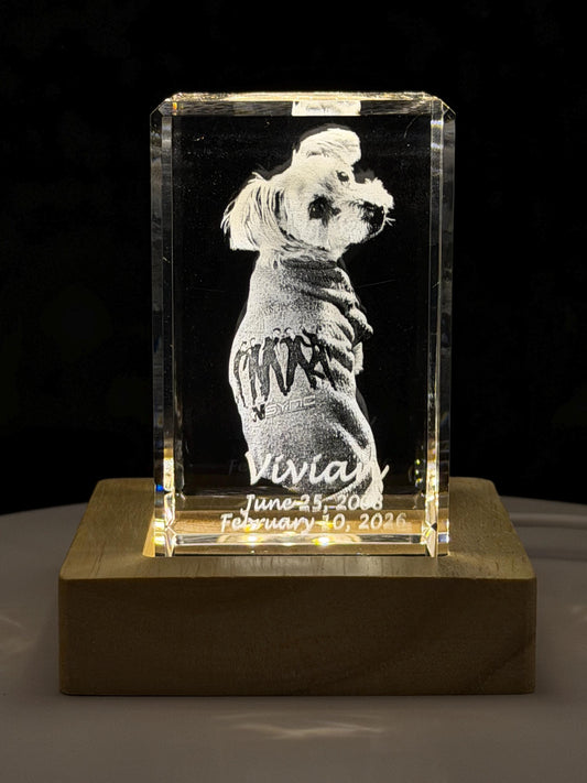 Pet Portrait/Memorial - 3D Photo Crystal: Custom Laser Etched - Cinematic HD!