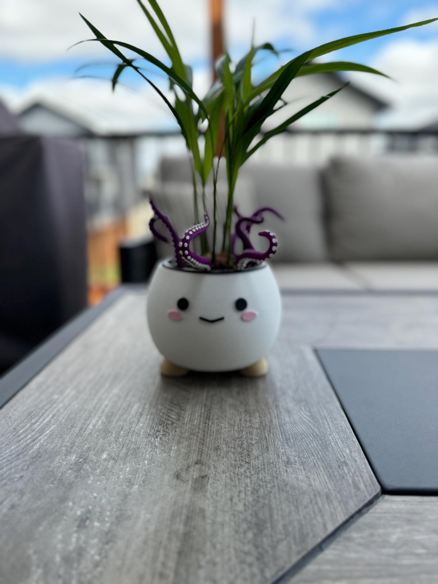 Happy Plant Pot