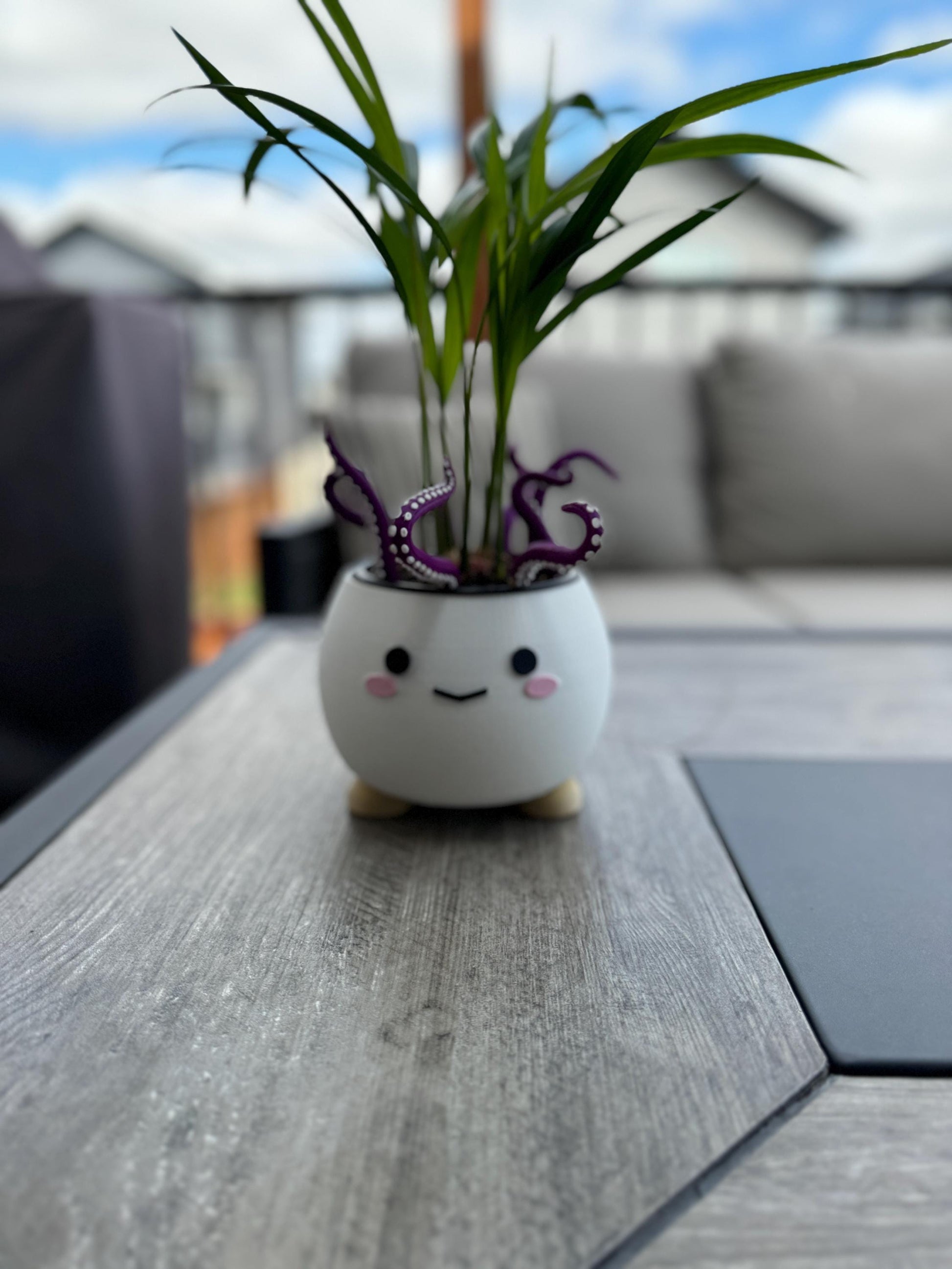 Happy Plant Pot