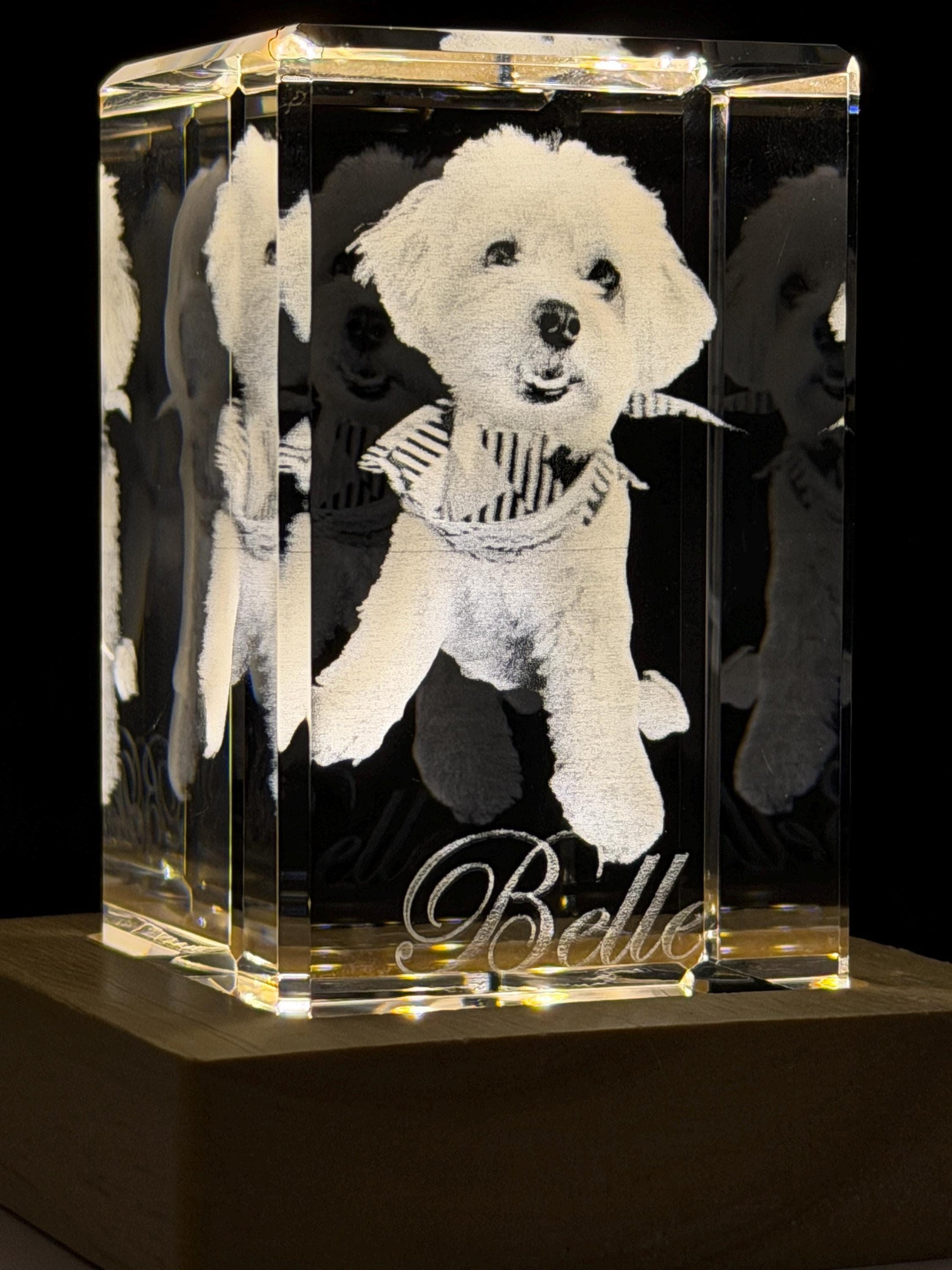 3D Photo Crystal: Custom Laser Etched Portraits - Cinematic HD!