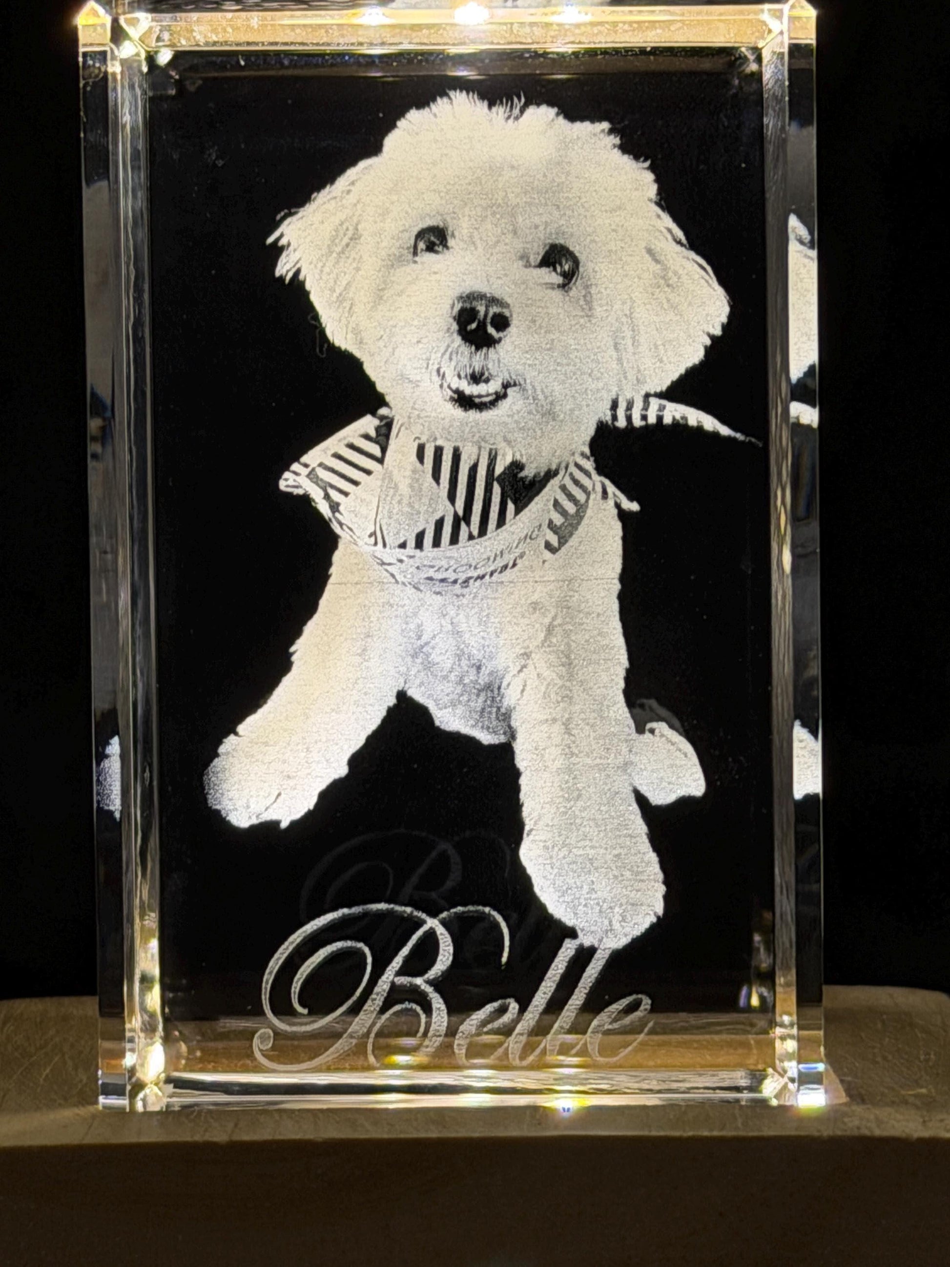 3D Photo Crystal: Custom Laser Etched Portraits - Cinematic HD!