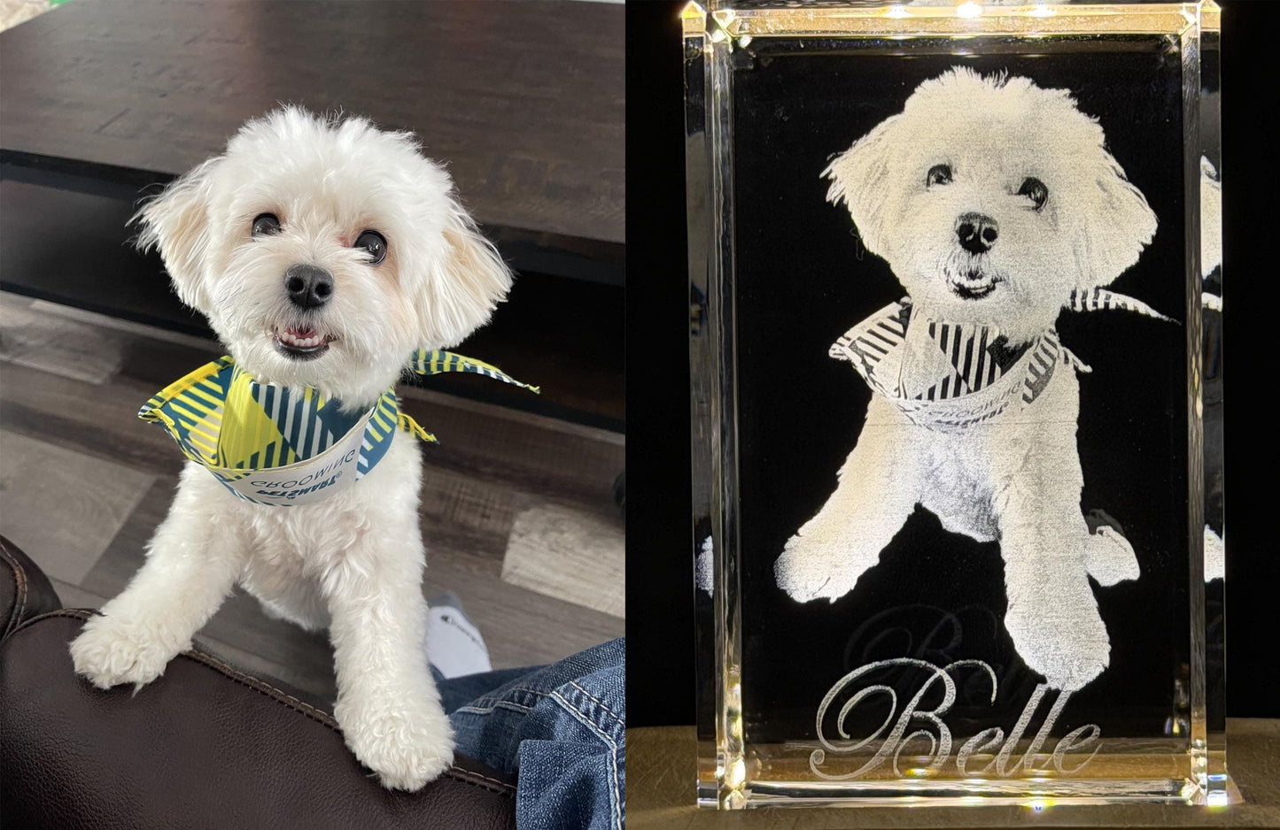 3D Photo Crystal: Custom Laser Etched Portraits - Cinematic HD!