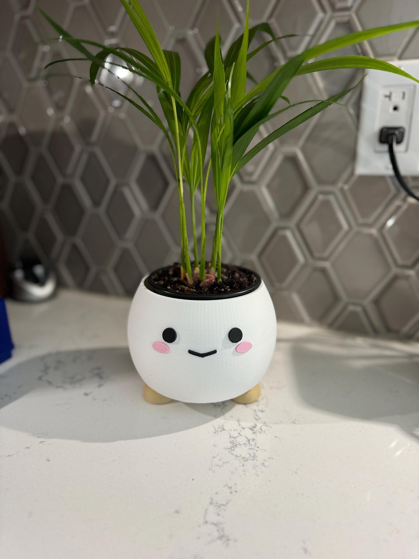 Happy Plant Pot