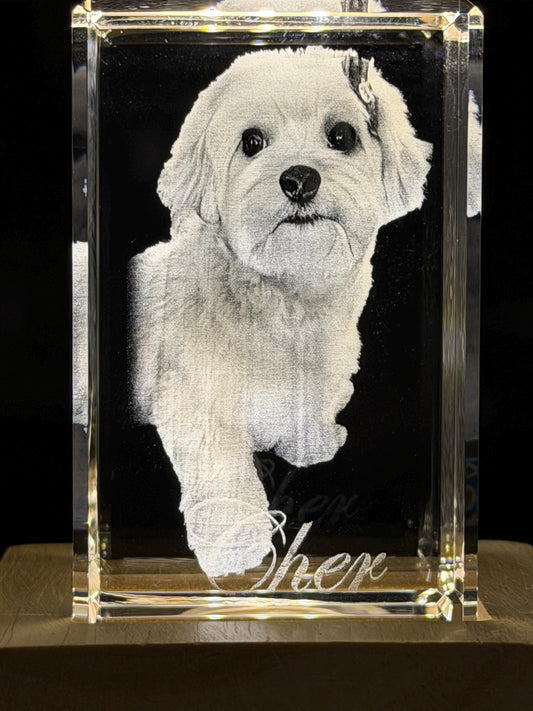 3D Photo Crystal: Custom Laser Etched Portraits - Cinematic HD!