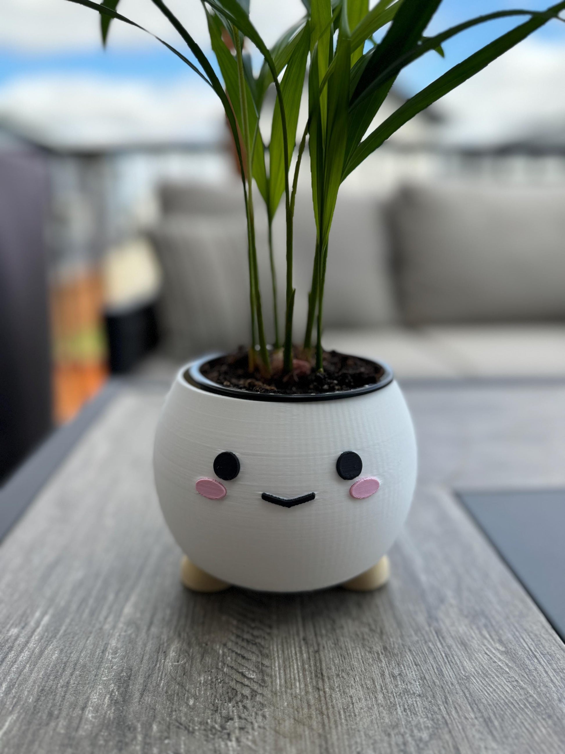 Happy Plant Pot