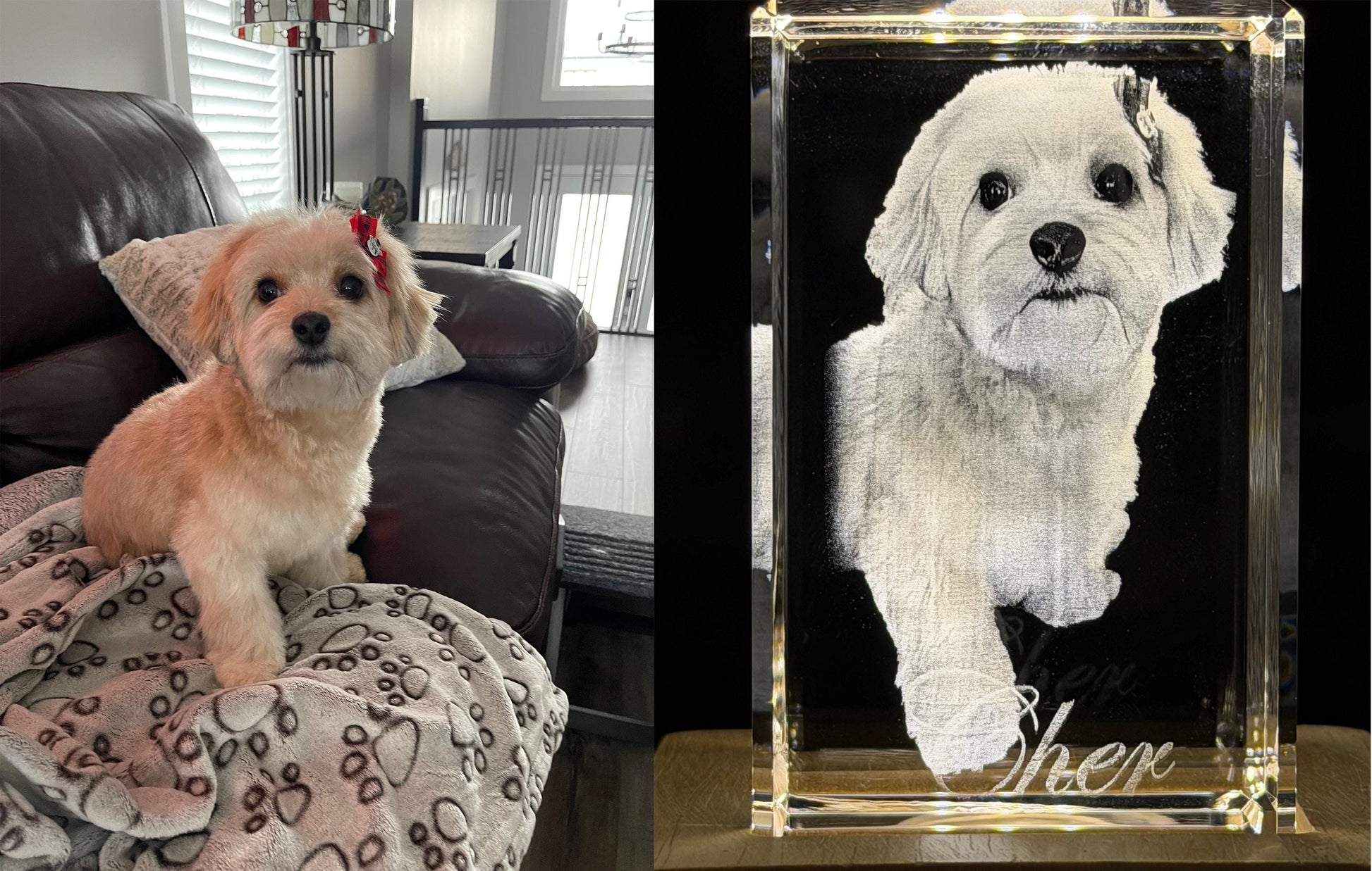 3D Photo Crystal: Custom Laser Etched Portraits - Cinematic HD!