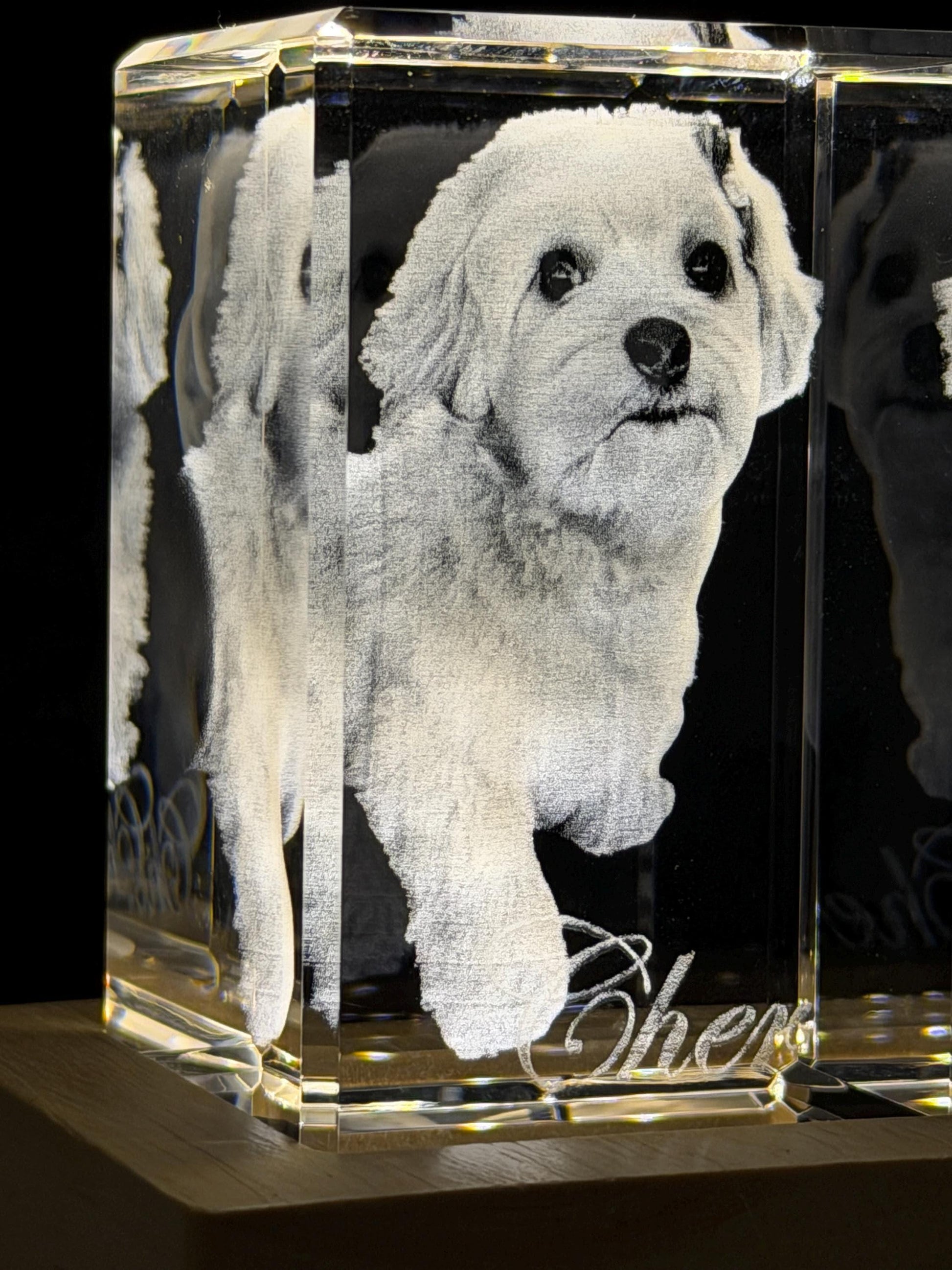 3D Photo Crystal: Custom Laser Etched Portraits - Cinematic HD!