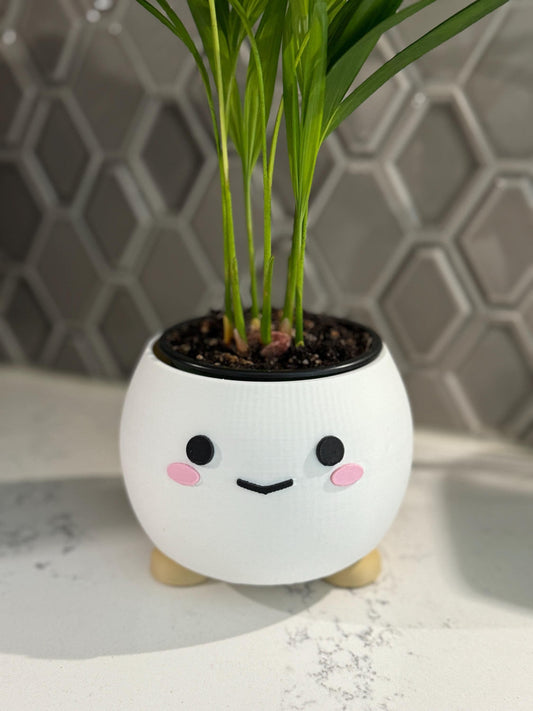 Cheerful Kawaii Plant Pot